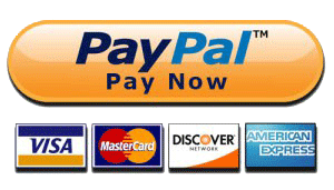 PayPal-Pay-Now-Button